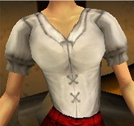 BigTPuffyShortSleeveShirt.jpg