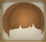 Copper Brown Blunt Cut.Png