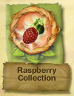 PH Raspberry Collection Badge.Png