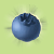Blueberry