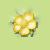 Buttercup Petal