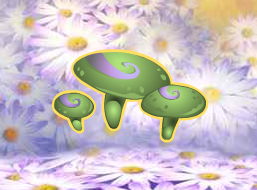 Fairy Furniture