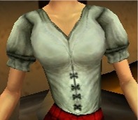 BigCPuffyShortSleeveShirt.jpg
