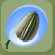 Sunflower Seeds In Pouch.Png