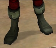BigCBoots2.jpg