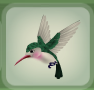 Hummingbird Green.png