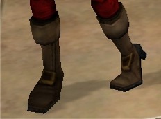 BigCBoots.jpg