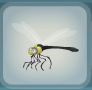 Dragonfly Yellow.png