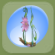 Daisy Bloom Swing Petal Pink.Png