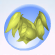 Oak Top Daffodil Yellow.Png