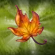 Maple Leaves In Game.Png