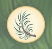 Pine Needles Collected.Png