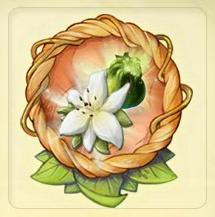 Lily Petal Collection