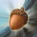 Acorns In Game.Png
