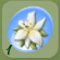 Lily Petals In Pouch.Png