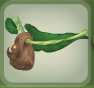Zucchini Green Tool Belt.Png