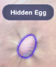 Hidden Egg