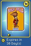 Pirate Costume Single Use