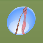 Daisy Pink Firefly Fetcher