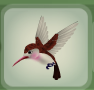 Hummingbird Brown.png
