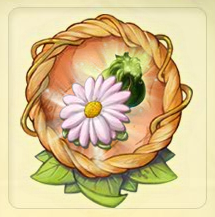 Daisy Petal Collection