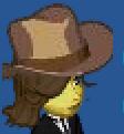Cowboy Hat