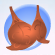 Ivy Top Tangerine Orange.Png