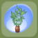 Blue-Tipped Potted Plant.Png