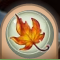 Fall Favorites