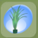 Grass Houseplant Pine Green.Png