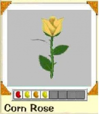 Corn Rose Combination.Png