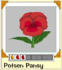 Potsen Pansy Combination.Png